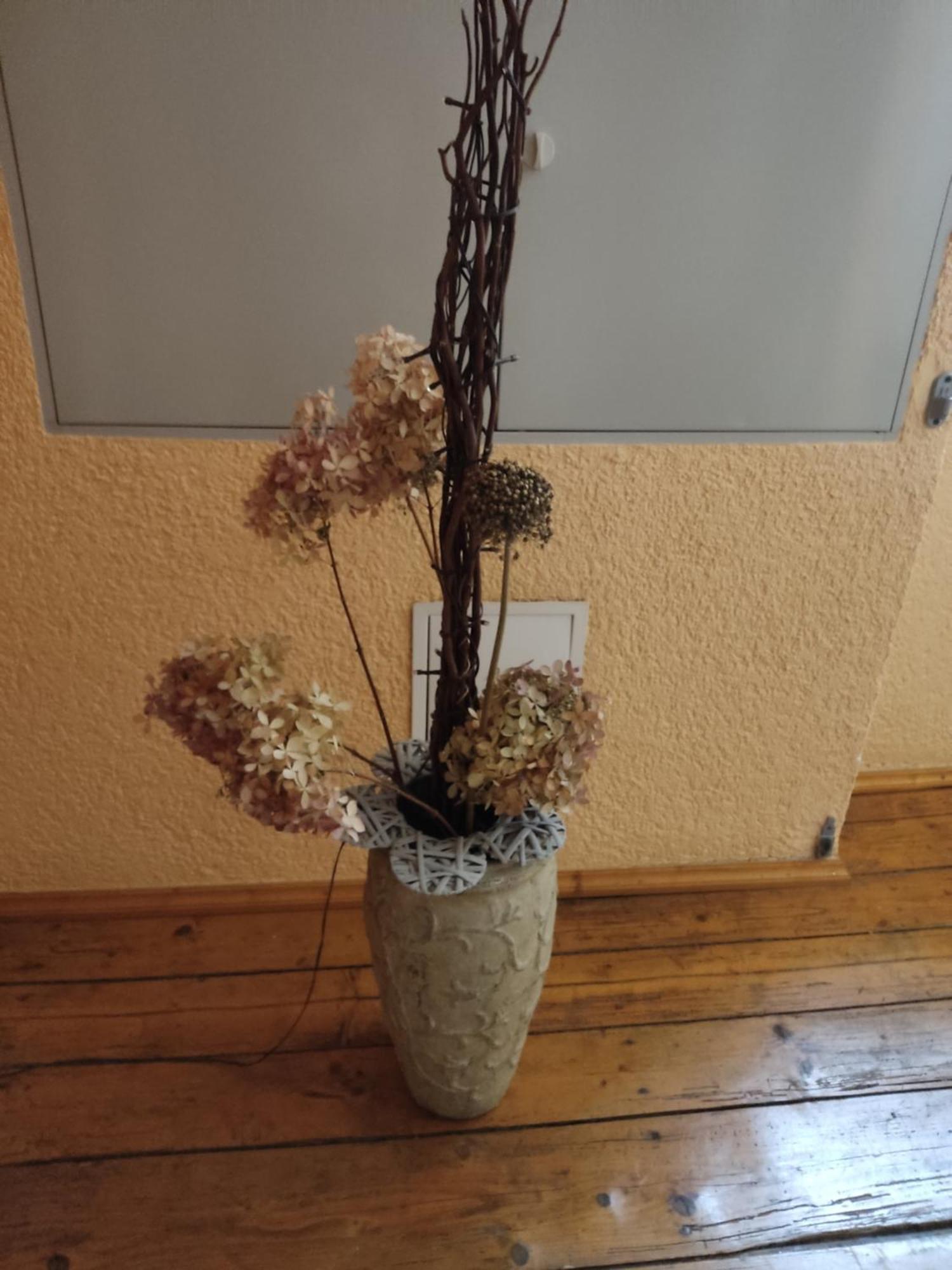Apartment Grenzeck Bad Schandau